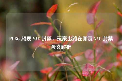 PUBG 频现 VAC 封禁，玩家出路在哪及 VAC 封禁含义解析