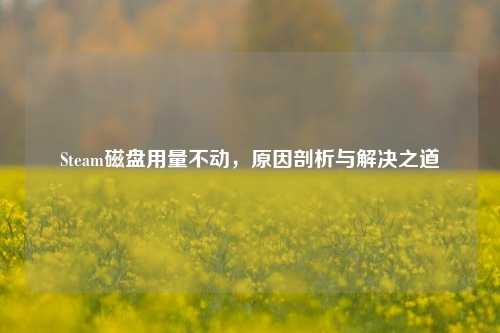 Steam磁盘用量不动,原因剖析与解决之道