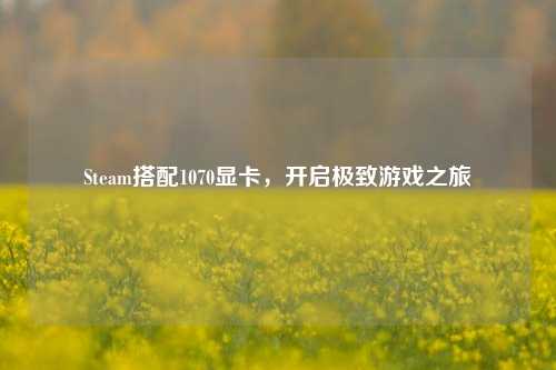Steam搭配1070显卡,开启极致游戏之旅