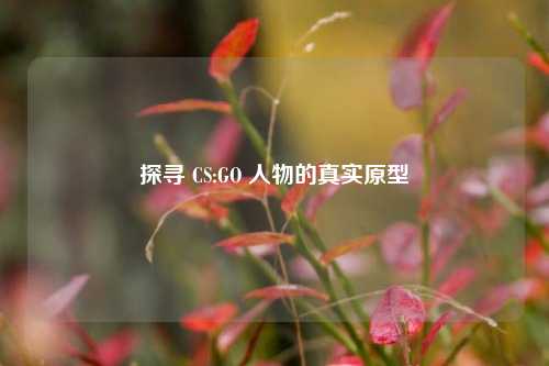 探寻 CS:GO 人物的真实原型