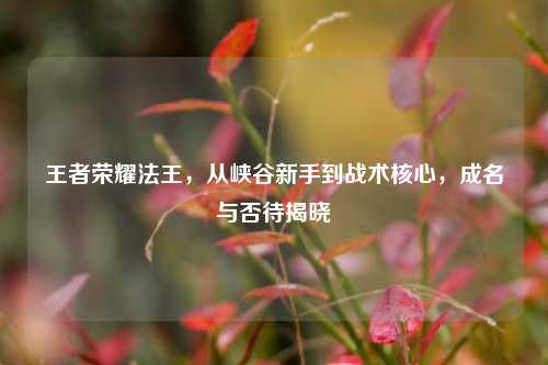 王者荣耀法王,从峡谷新手到战术核心,成名与否待揭晓