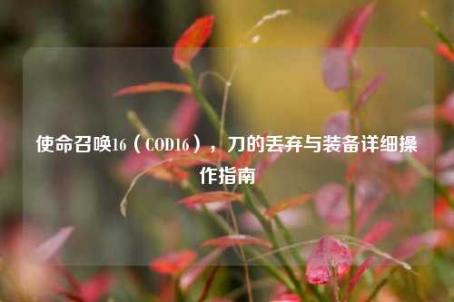 使命召唤16(COD16),刀的丢弃与装备详细操作指南