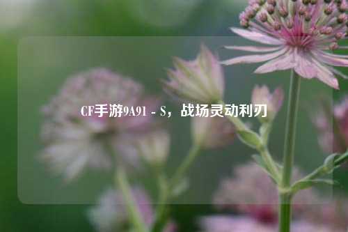 CF手游9A91 - S，战场灵动利刃