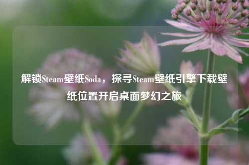 解锁Steam壁纸Soda，探寻Steam壁纸引擎下载壁纸位置开启桌面梦幻之旅