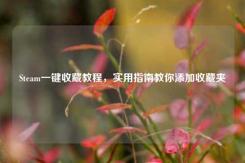 Steam一键收藏教程，实用指南教你添加收藏夹