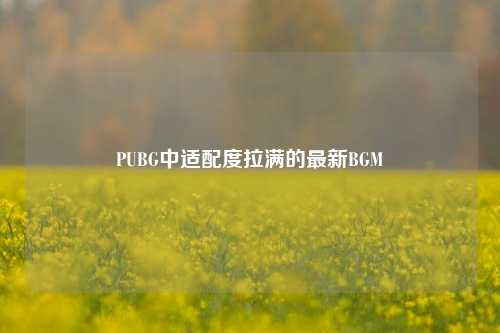 PUBG中适配度拉满的最新BGM