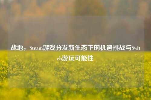 战地,Steam游戏分发新生态下的机遇挑战与Switch游玩可能性