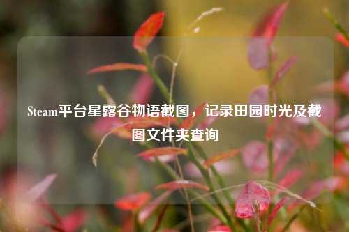 Steam平台星露谷物语截图，记录田园时光及截图文件夹查询