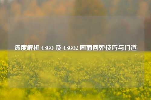 深度解析 CSGO 及 CSGO2 画面回弹技巧与门道