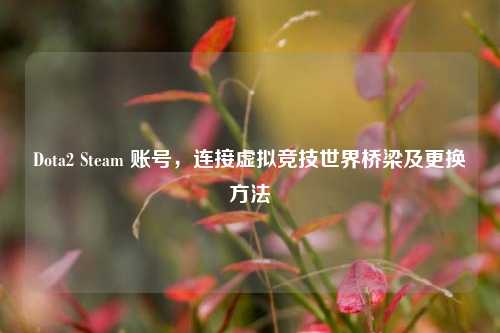 Dota2 Steam 账号，连接虚拟竞技世界桥梁及更换方法