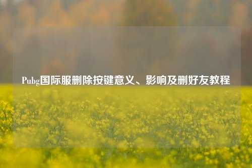 Pubg国际服删除按键意义、影响及删好友教程