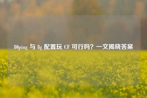 80ping 与 8g 配置玩 CF 可行吗?一文揭晓答案