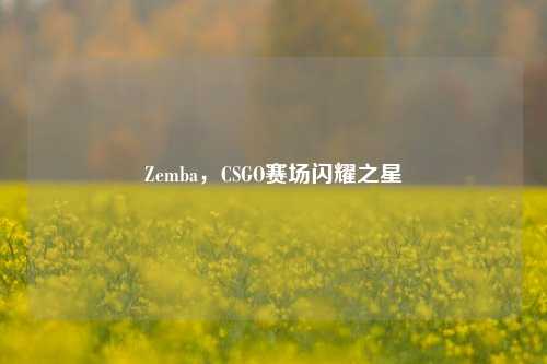 Zemba,CSGO赛场闪耀之星