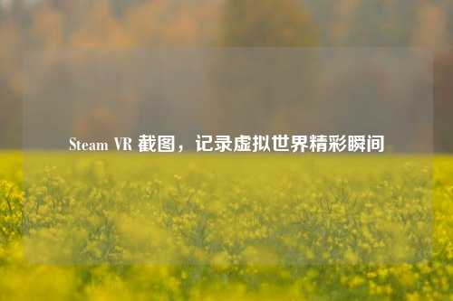 Steam VR 截图，记录虚拟世界精彩瞬间