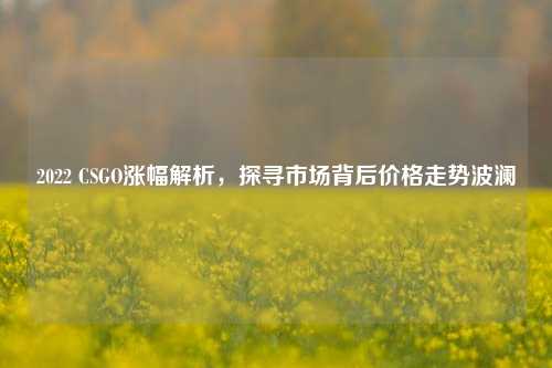 2022 CSGO涨幅解析，探寻市场背后价格走势波澜