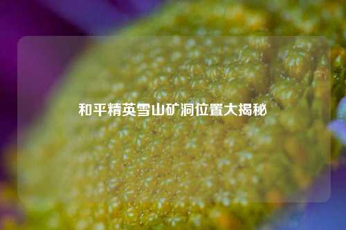 和平精英雪山矿洞位置大揭秘