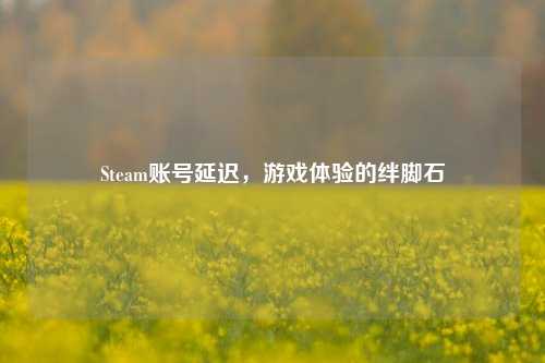 Steam账号延迟,游戏体验的绊脚石