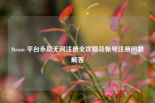 Steam 平台永劫无间注册全攻略及帐号注册问题解答