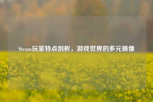 Steam玩家特点剖析，游戏世界的多元画像