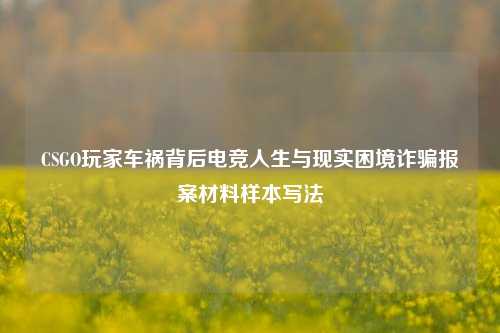 CSGO玩家车祸背后电竞人生与现实困境诈骗报案材料样本写法