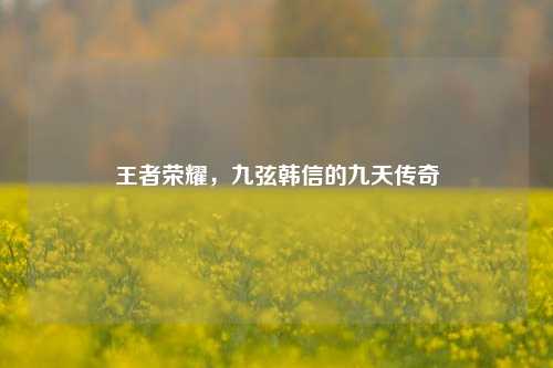 王者荣耀，九弦韩信的九天传奇