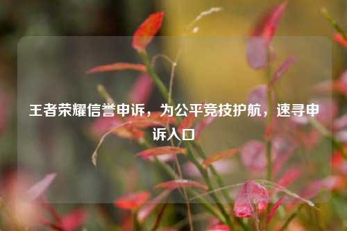 王者荣耀信誉申诉，为公平竞技护航，速寻申诉入口