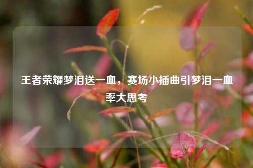 王者荣耀梦泪送一血,赛场小插曲引梦泪一血率大思考