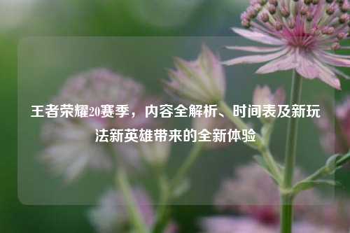王者荣耀20赛季，内容全解析、时间表及新玩法新英雄带来的全新体验