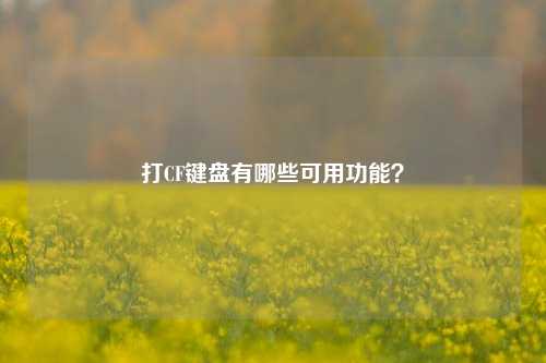 打CF键盘有哪些可用功能?