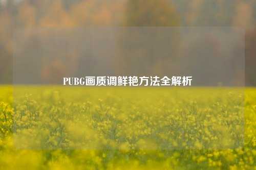 PUBG画质调鲜艳方法全解析