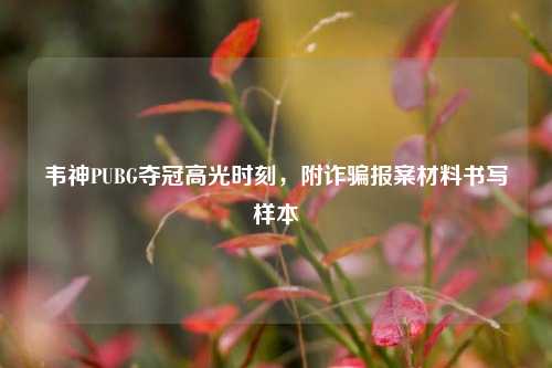 韦神PUBG夺冠高光时刻，附诈骗报案材料书写样本