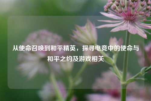 从使命召唤到和平精英,探寻电竞中的使命与和平之约及游戏相关