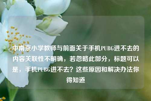 中南京小学教师与前面关于手机PUBG进不去的内容关联性不明确，若忽略此部分，标题可以是，手机PUBG进不去？这些原因和解决办法你得知道
