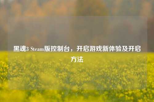 黑魂3 Steam版控制台，开启游戏新体验及开启方法