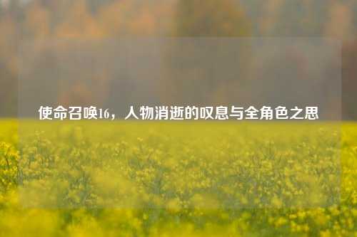 使命召唤16,人物消逝的叹息与全角色之思