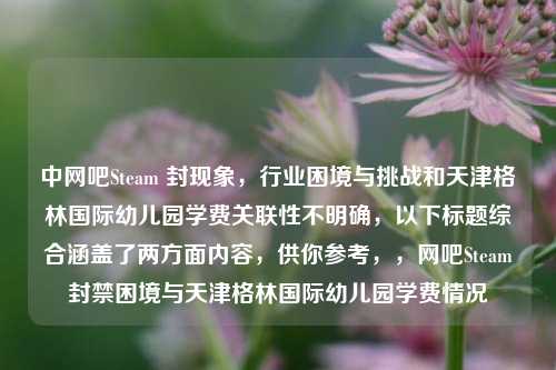 中网吧Steam 封现象,行业困境与挑战和天津格林国际幼儿园学费关联性不明确,以下标题综合涵盖了两方面内容,供你参考,,网吧Steam封禁困境与天津格林国际幼儿园学费情况