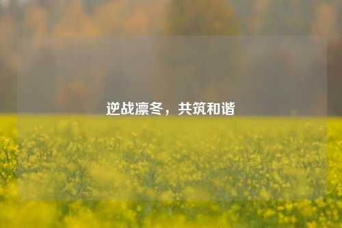 逆战凛冬,共筑和谐