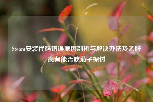 Steam安装代码错误原因剖析与解决办法及乙肝患者能否吃茄子探讨
