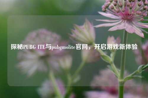 探秘PUBG ITE与pubgmolite官网,开启游戏新体验