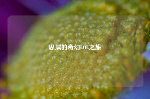 思琪的奇幻LOL之旅