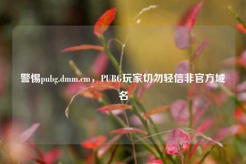 警惕pubg.dmm.cm,PUBG玩家切勿轻信非官方域名