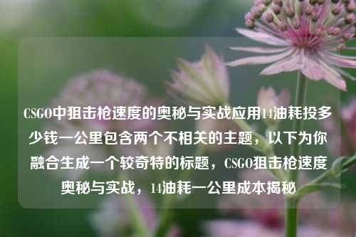 CSGO中狙击枪速度的奥秘与实战应用14油耗投多少钱一公里包含两个不相关的主题,以下为你融合生成一个较奇特的标题,CSGO狙击枪速度奥秘与实战,14油耗一公里成本揭秘