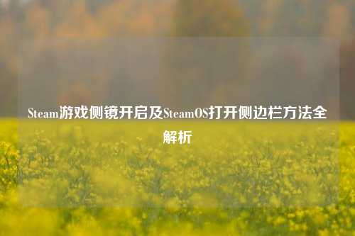 Steam游戏侧镜开启及SteamOS打开侧边栏方法全解析
