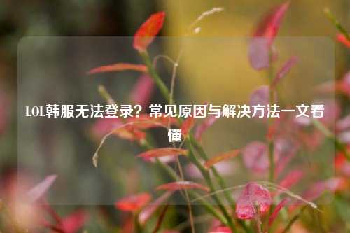 LOL韩服无法登录?常见原因与解决方法一文看懂