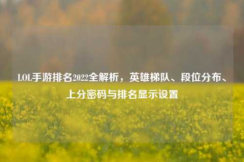 LOL手游排名2022全解析,英雄梯队、段位分布、上分密码与排名显示设置