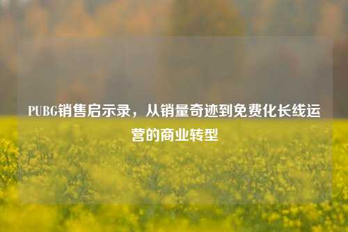 PUBG销售启示录，从销量奇迹到免费化长线运营的商业转型