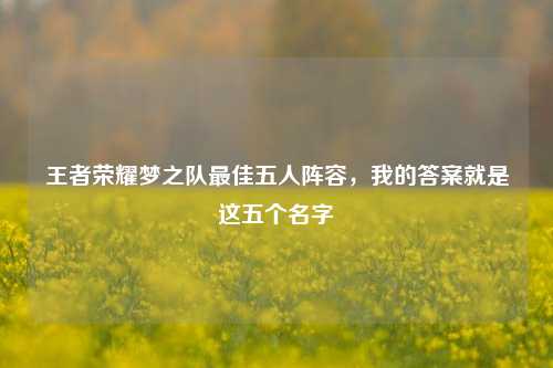 王者荣耀梦之队最佳五人阵容，我的答案就是这五个名字