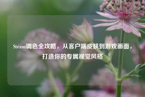 Steam调色全攻略,从客户端皮肤到游戏画面,打造你的专属视觉风格