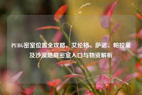 PUBG密室位置全攻略，艾伦格、萨诺、帕拉莫及沙漠隐藏密室入口与物资解析