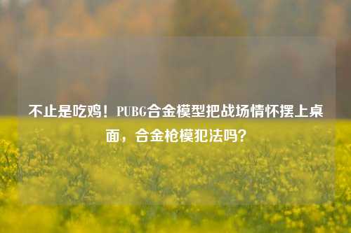 不止是吃鸡！PUBG合金模型把战场情怀摆上桌面，合金枪模犯法吗？